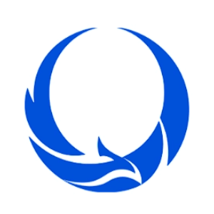 朱雀 AI 检测助手 Logo