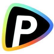 Pollo AI Logo