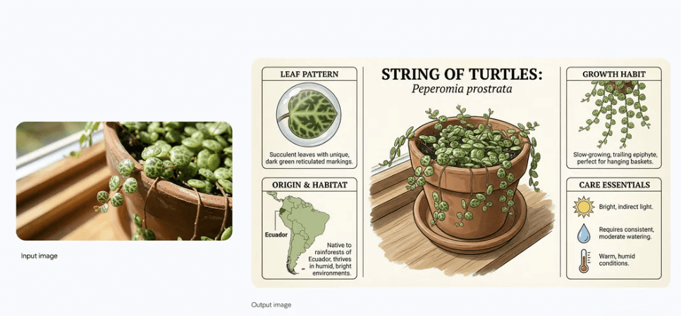 谷歌 DeepMind 推出 Nano Banana Pro,超强图片生成能力